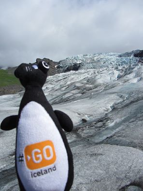 Auk GO Iceland plush at the edge of a glacier in Iceland