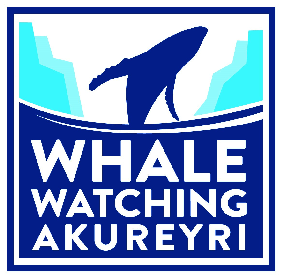 Whale watching in Akureyri, North Iceland